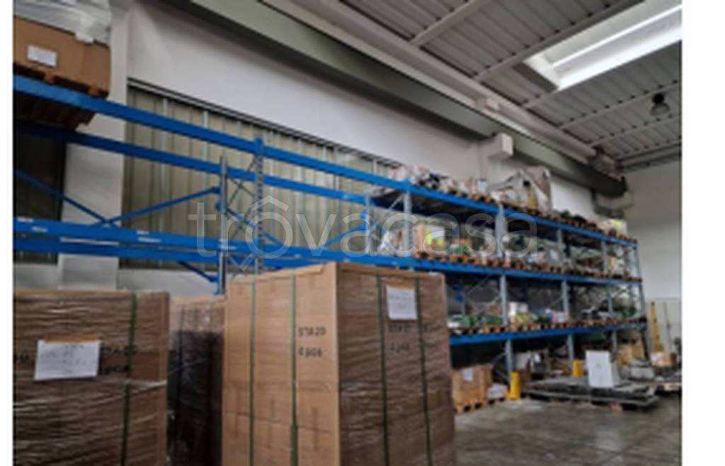 immagine annuncio 2 di 11