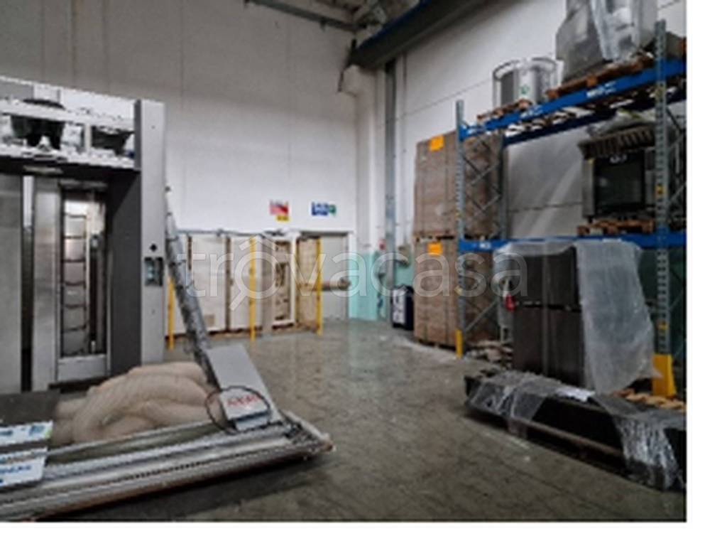 immagine annuncio 4 di 11