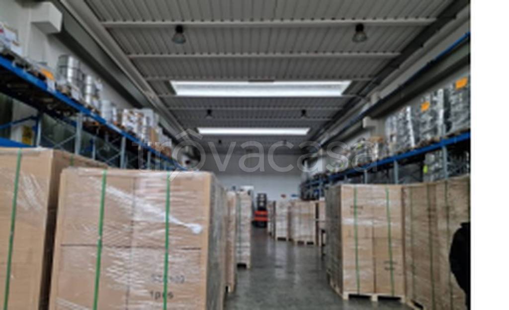 immagine annuncio 3 di 11