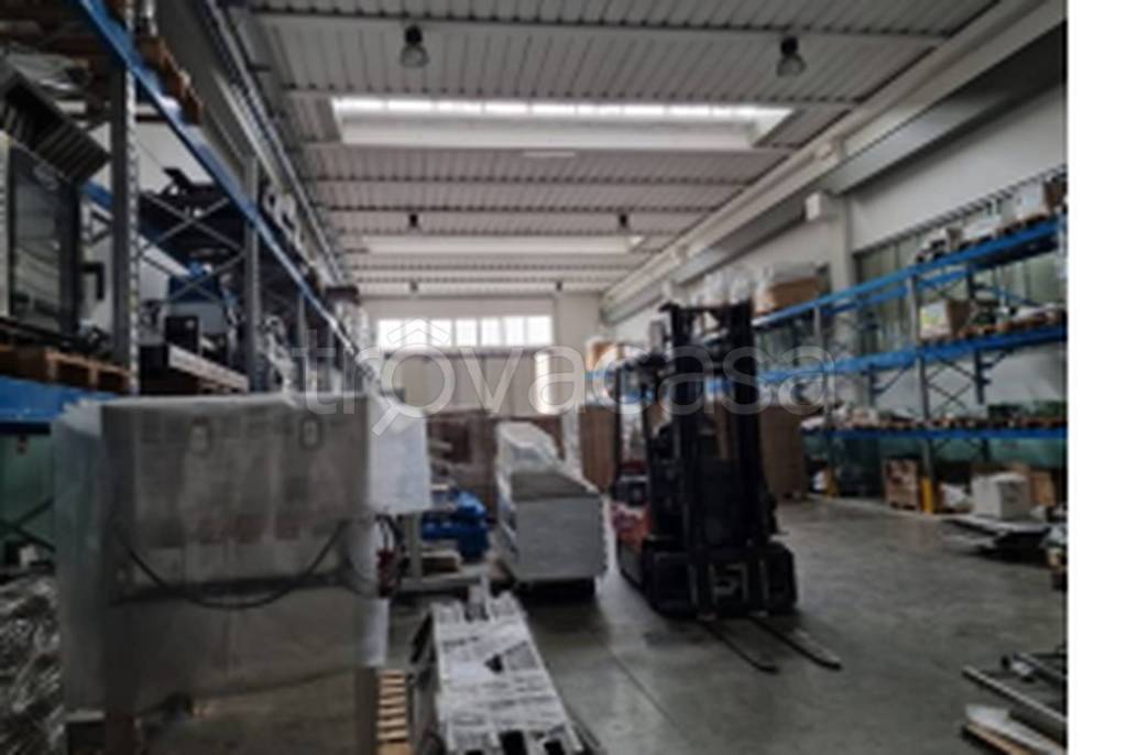 immagine annuncio 5 di 11