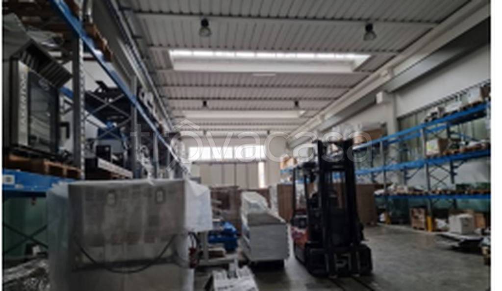 immagine annuncio 6 di 11