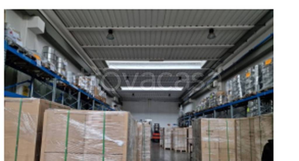 immagine annuncio 8 di 11