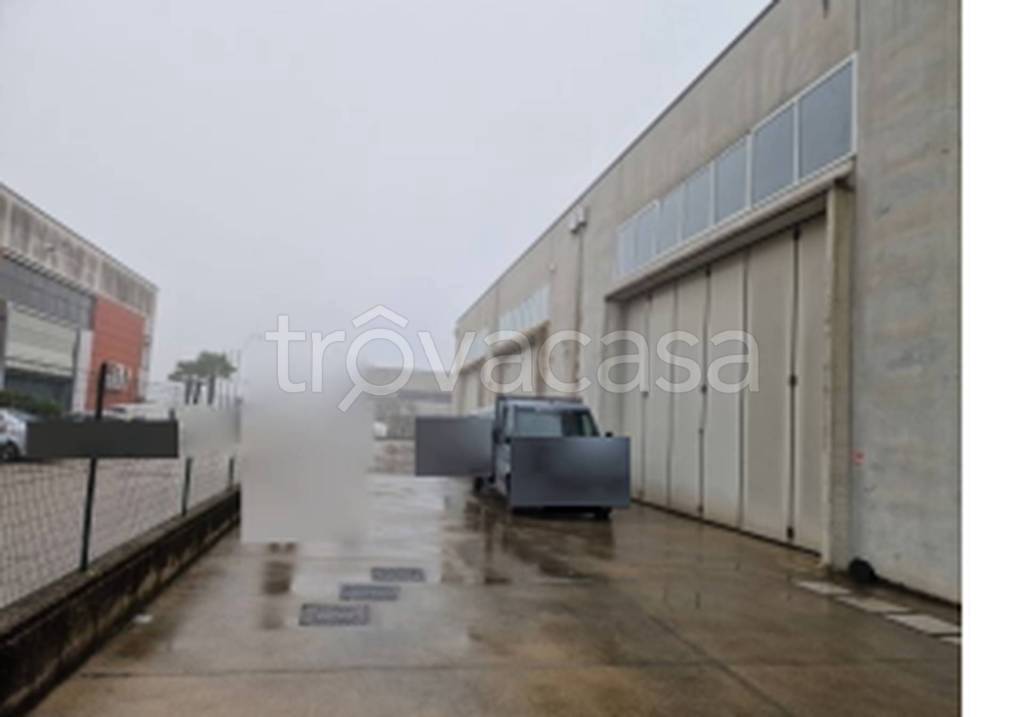 immagine annuncio 9 di 11