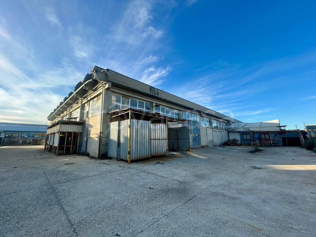 immagine annuncio 2 di 15