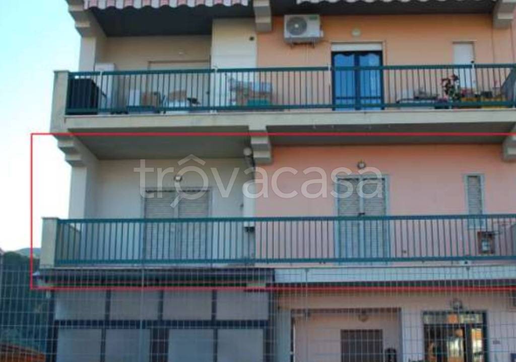 immagine annuncio 2 di 12