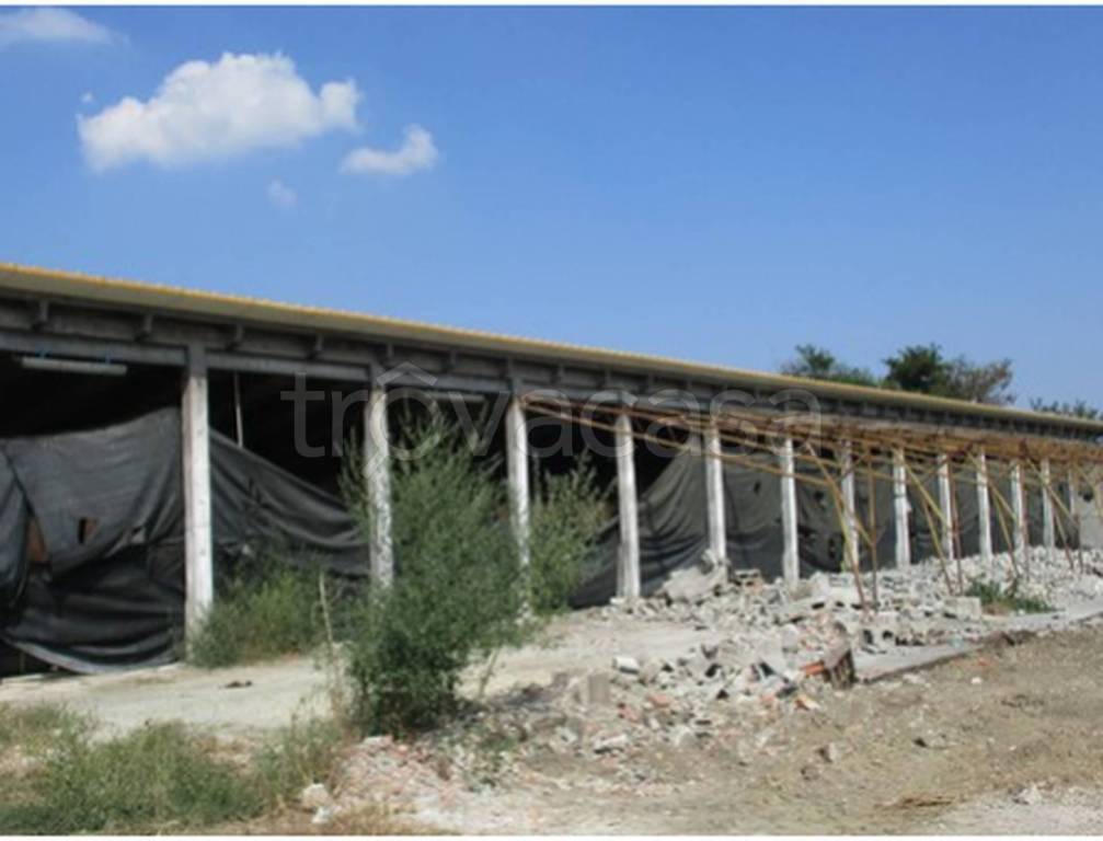 immagine annuncio 5 di 11