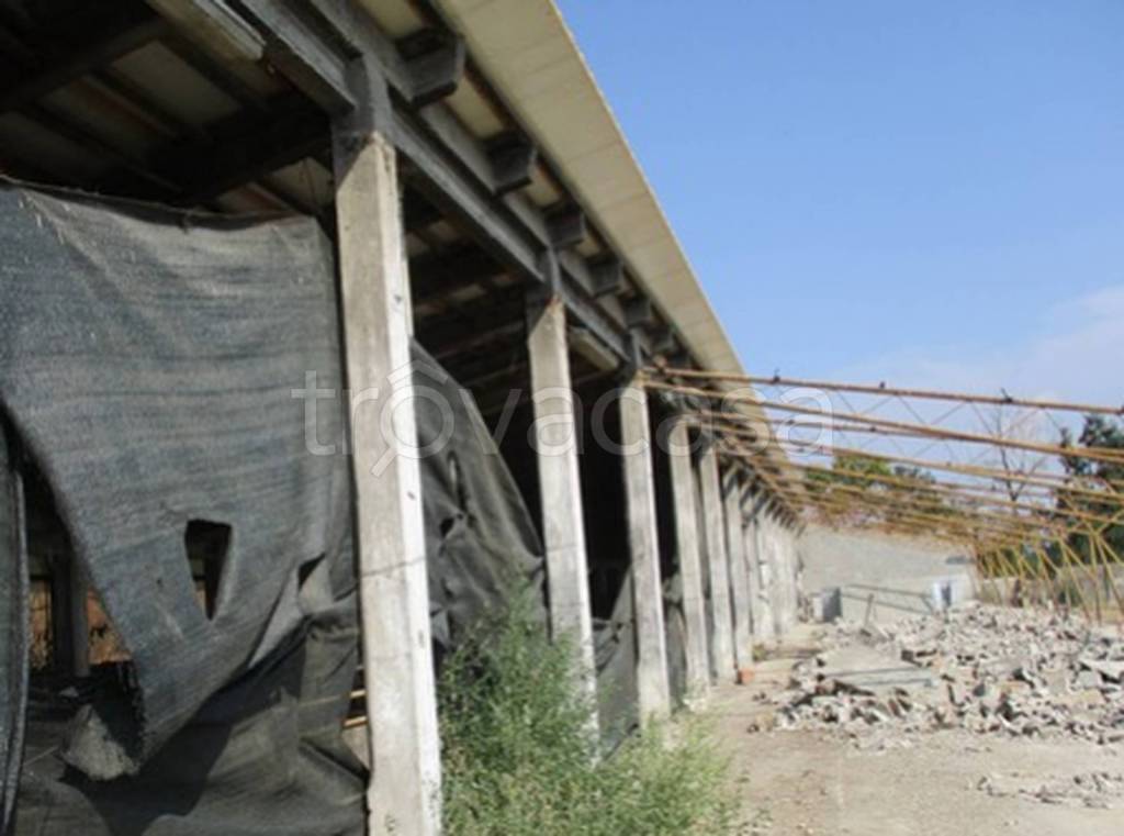 immagine annuncio 6 di 11