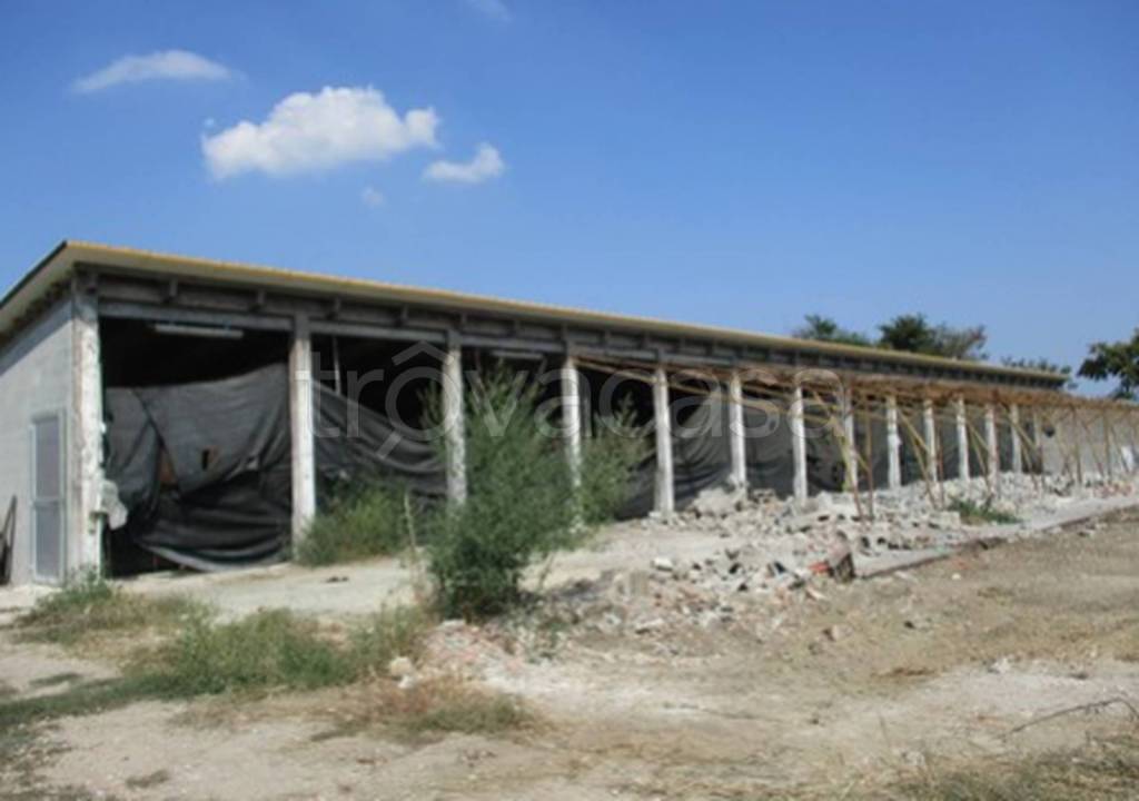 immagine annuncio 7 di 11