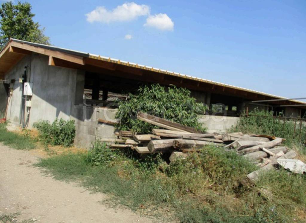 immagine annuncio 9 di 11