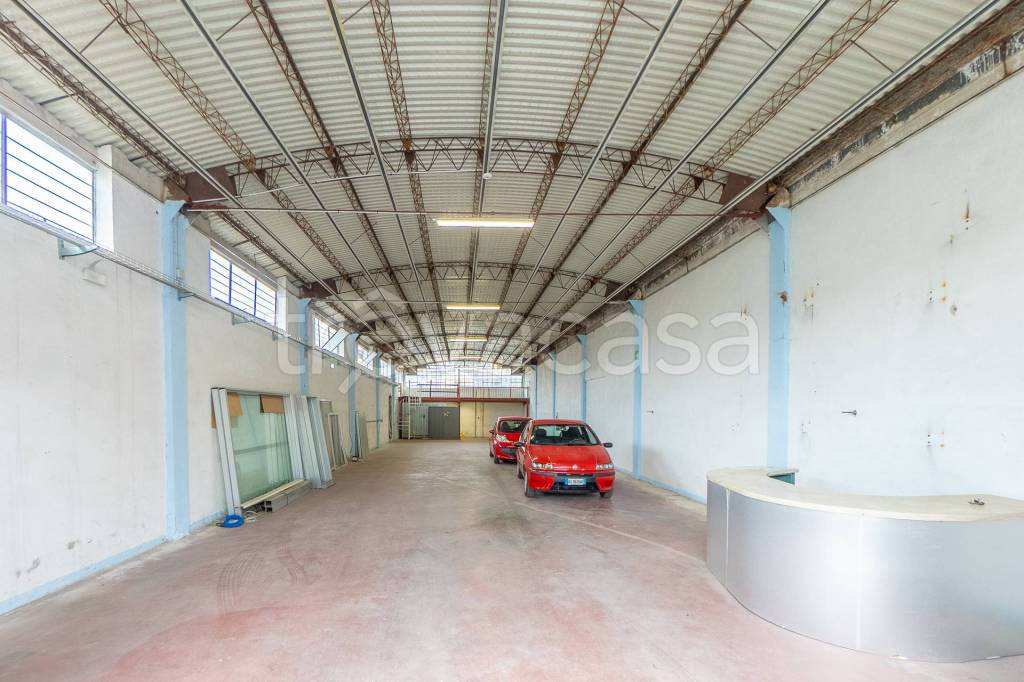 immagine annuncio 2 di 15