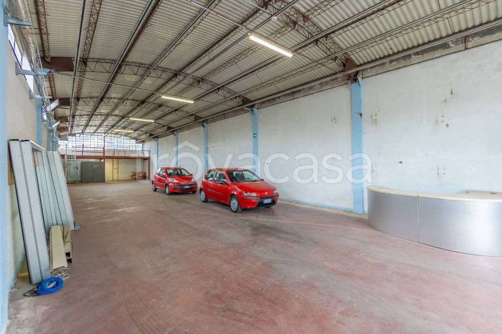 immagine annuncio 4 di 15