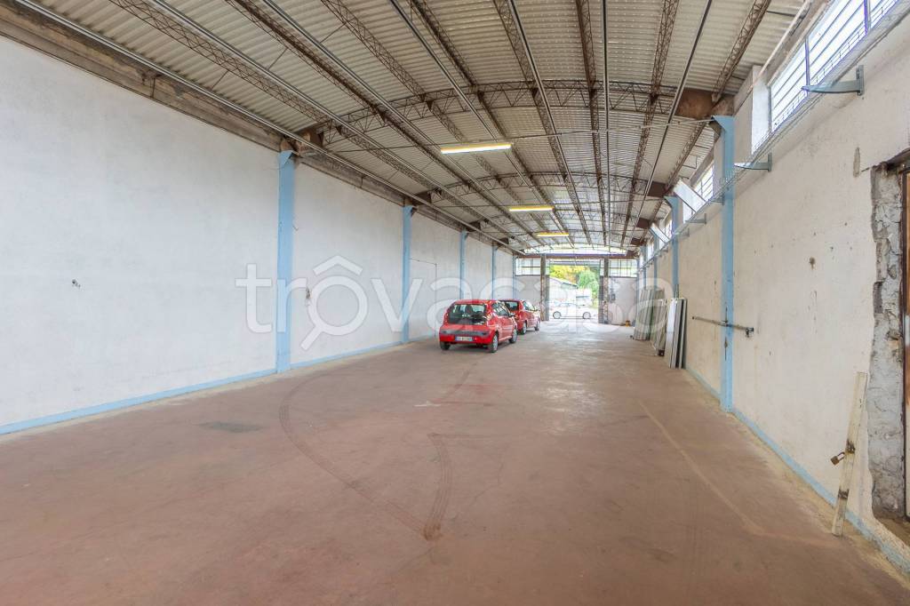 immagine annuncio 12 di 15