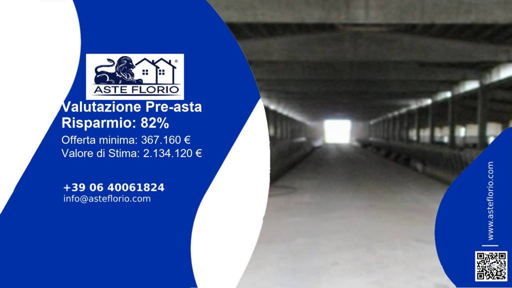 immagine annuncio 1 di 12