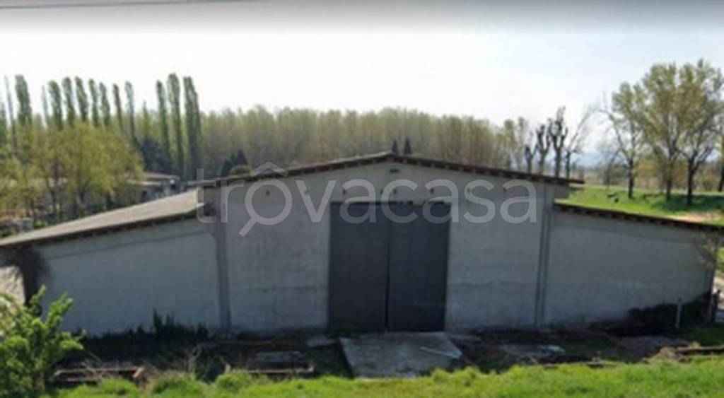 immagine annuncio 2 di 11