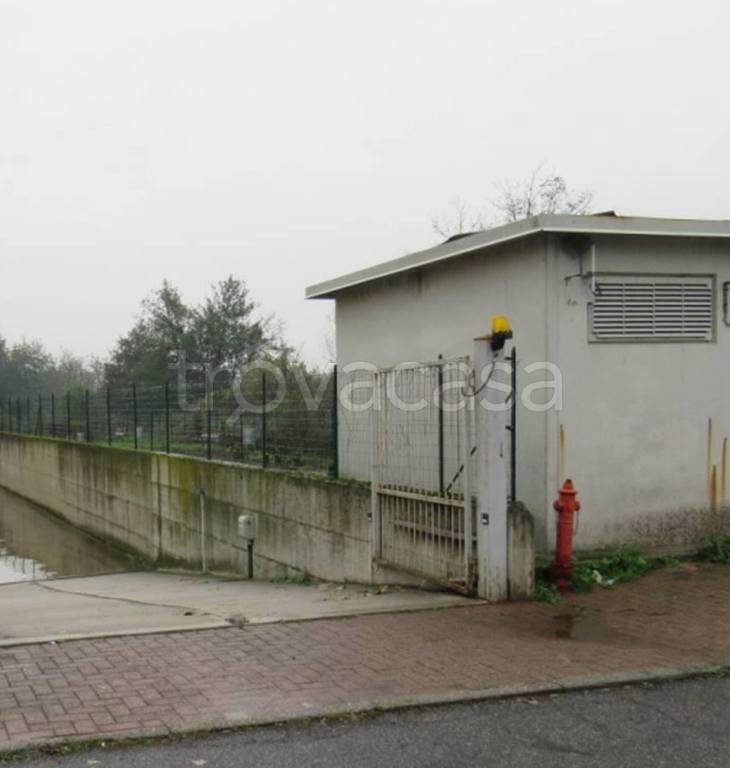 immagine annuncio 7 di 12