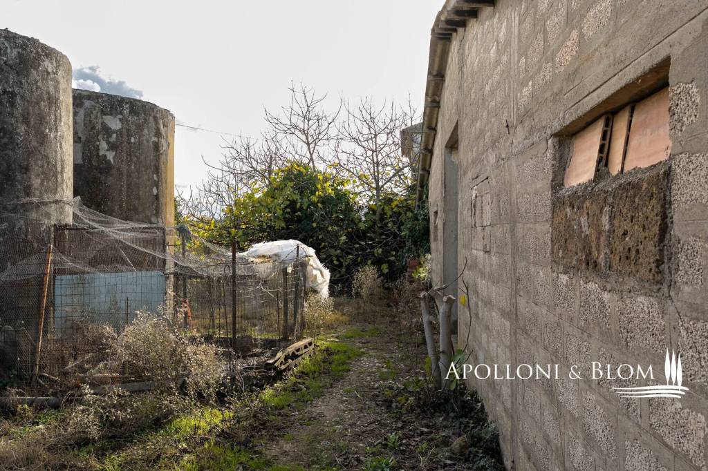 immagine annuncio 13 di 15