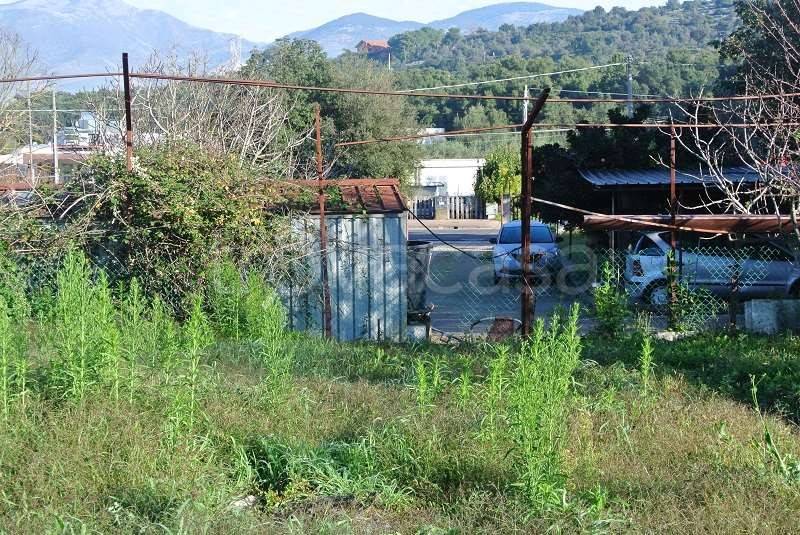 immagine annuncio 5 di 7