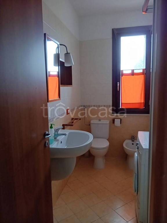 immagine annuncio 10 di 14