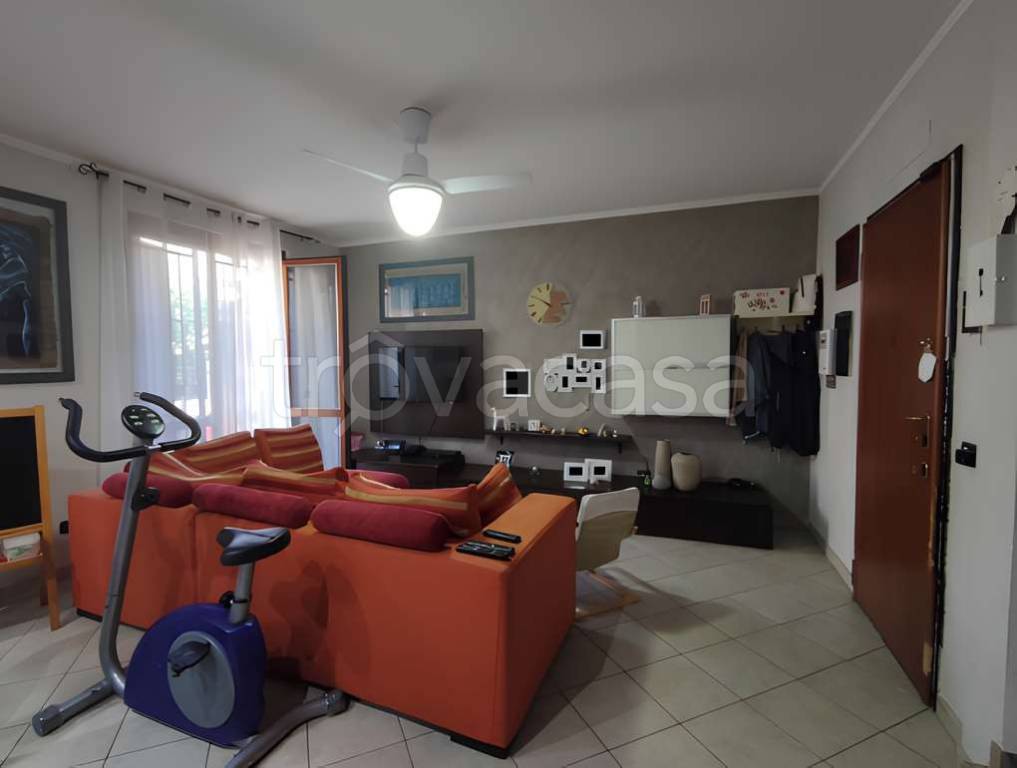 immagine annuncio 5 di 15