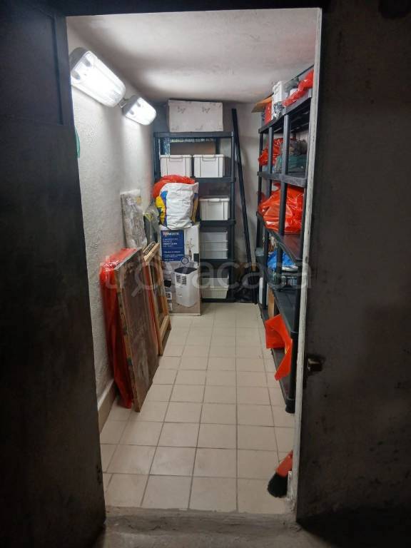 immagine annuncio 10 di 14