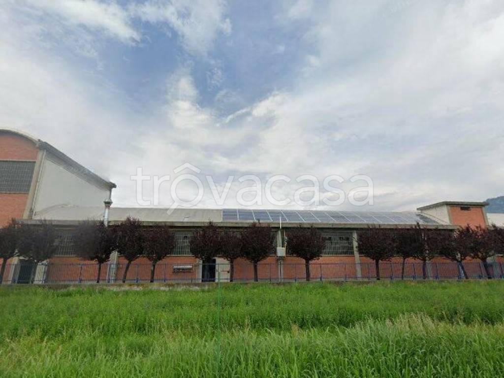 immagine annuncio 1 di 3