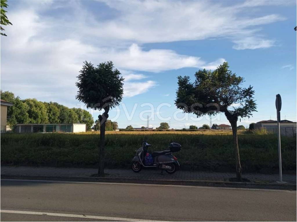 immagine annuncio 1 di 2