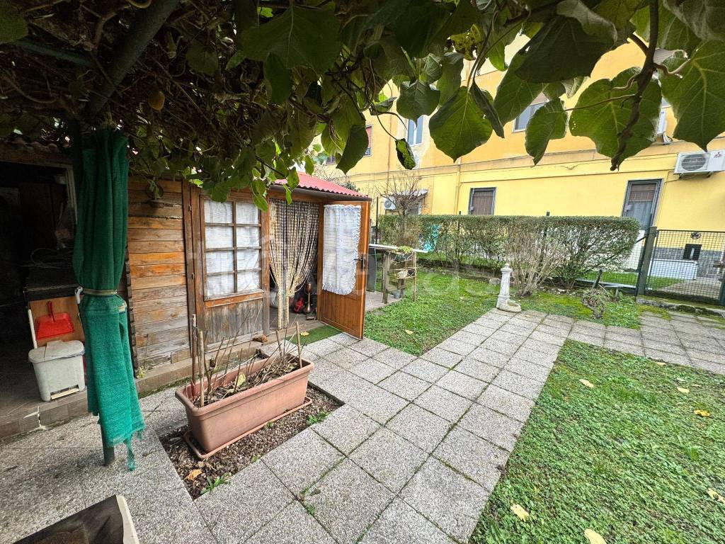 immagine annuncio 7 di 15