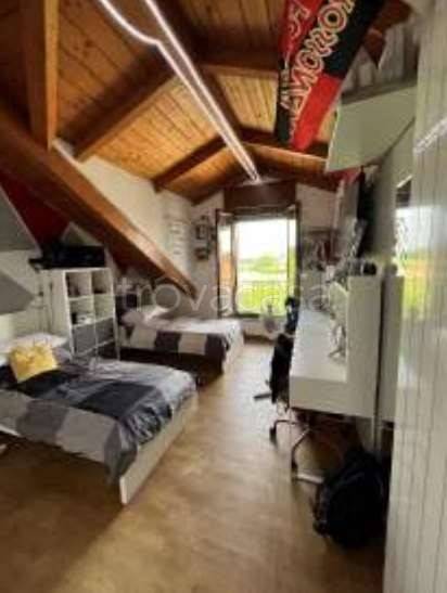 immagine annuncio 6 di 12