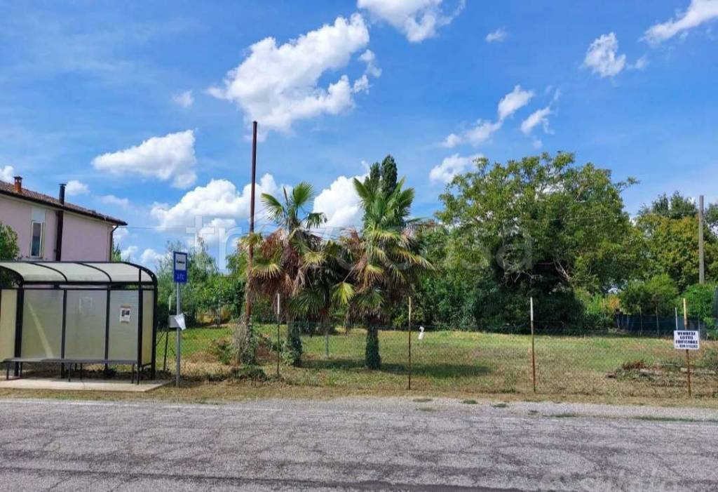 immagine annuncio 2 di 6