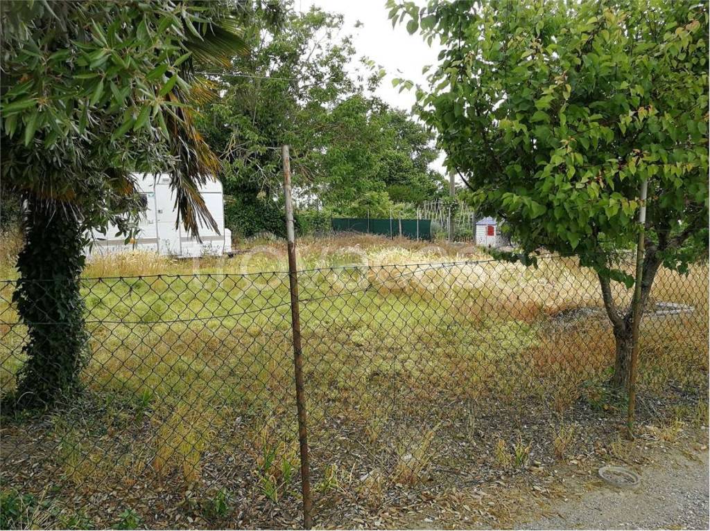 immagine annuncio 4 di 6