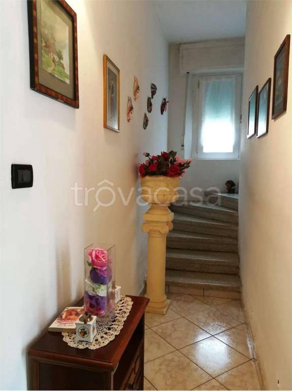 immagine annuncio 5 di 14