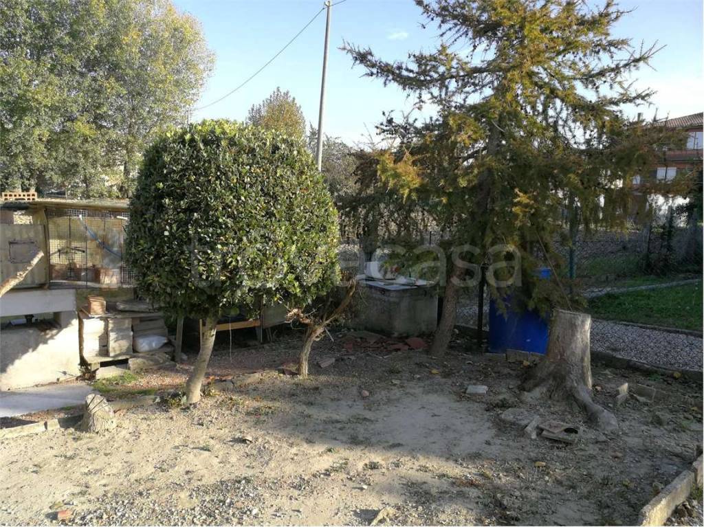 immagine annuncio 11 di 14