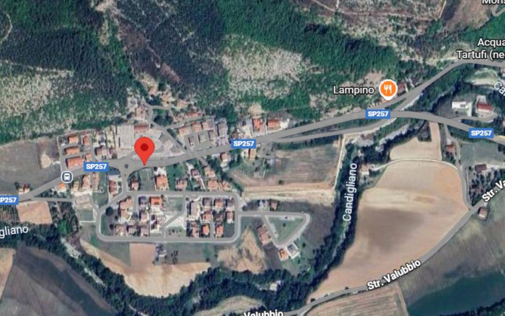 immagine annuncio 10 di 11