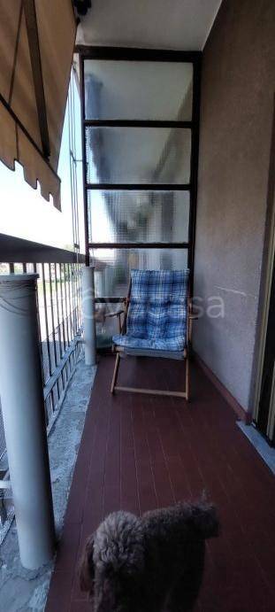 immagine annuncio 12 di 14