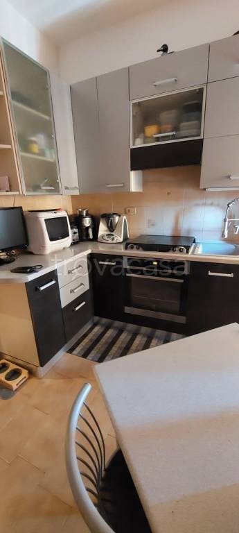 immagine annuncio 3 di 14