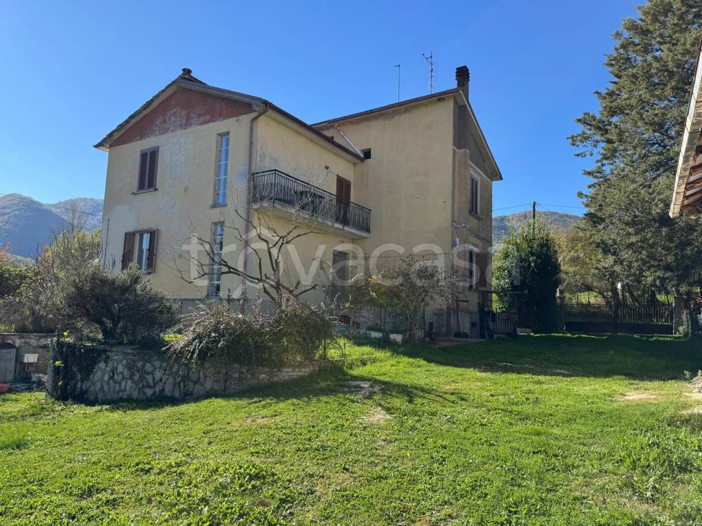 immagine annuncio 2 di 12