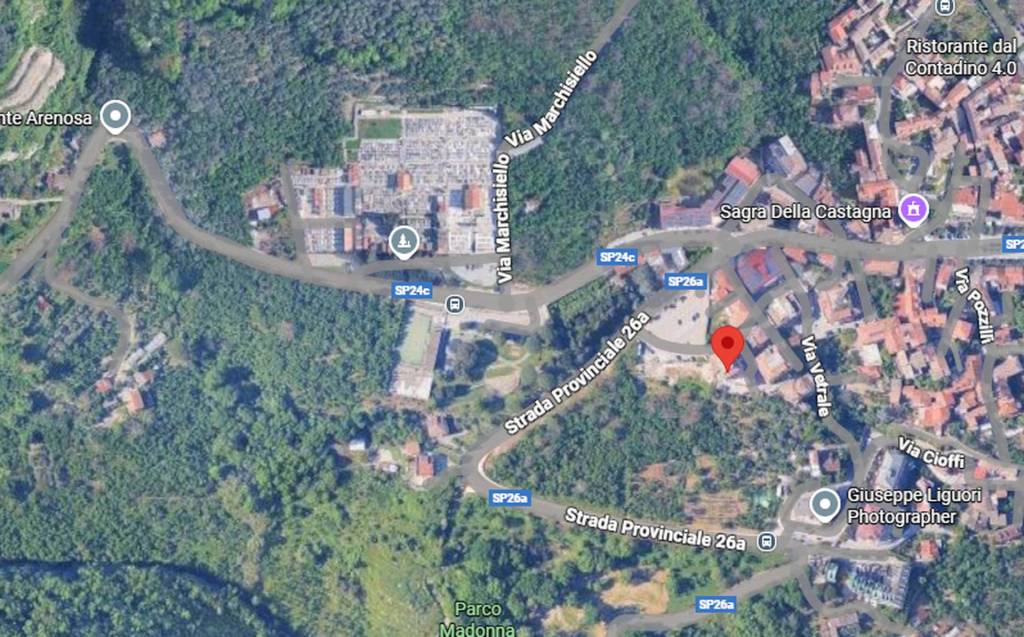 immagine annuncio 2 di 12