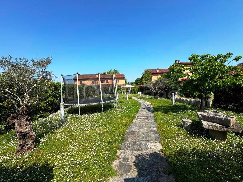 immagine annuncio 5 di 15