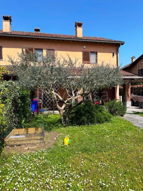 immagine annuncio 2 di 15