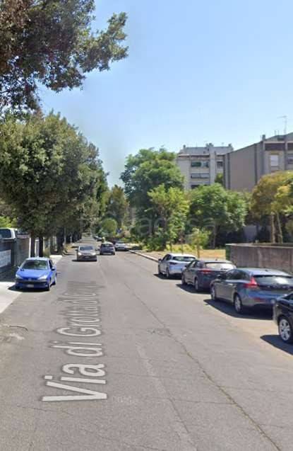 immagine annuncio 5 di 8