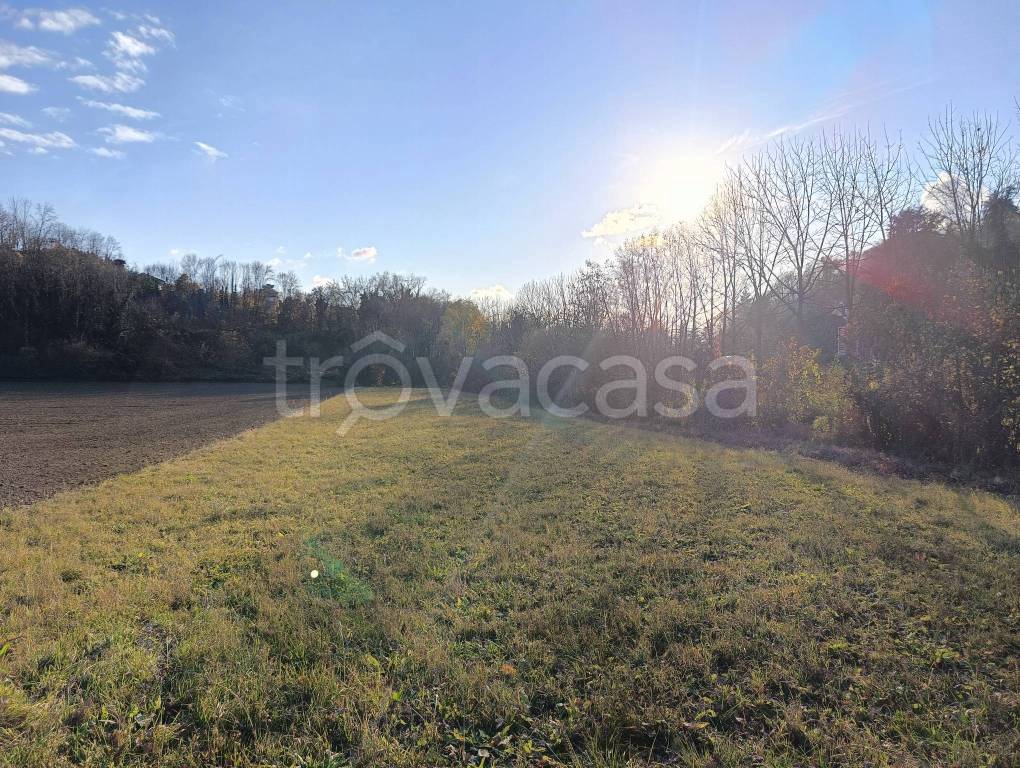 immagine annuncio 6 di 9