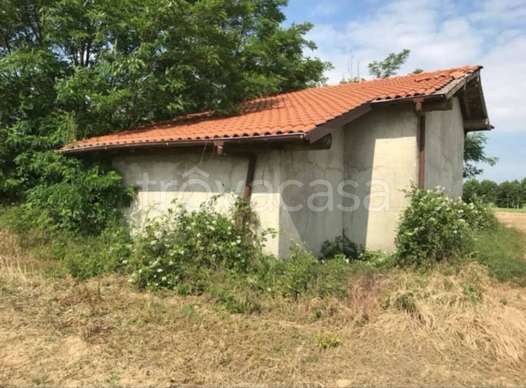 immagine annuncio 5 di 14