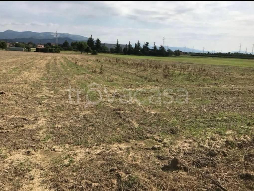 immagine annuncio 6 di 14