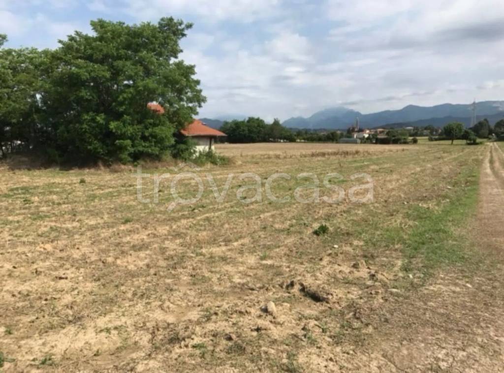 immagine annuncio 7 di 14