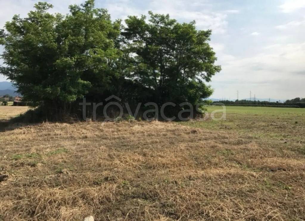 immagine annuncio 8 di 14