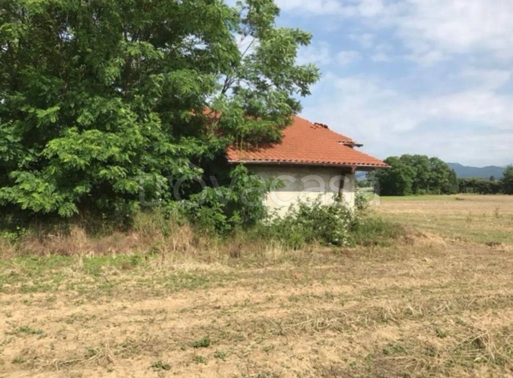 immagine annuncio 10 di 14