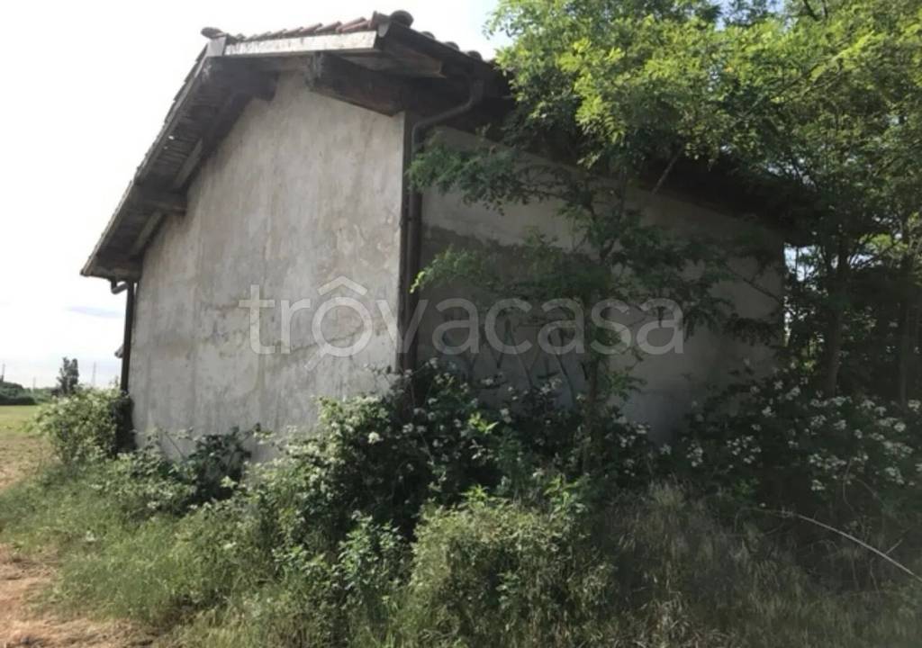 immagine annuncio 11 di 14