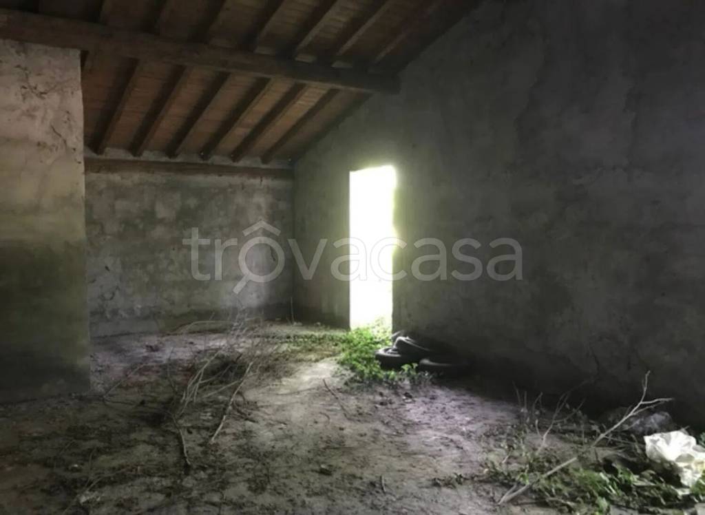 immagine annuncio 12 di 14