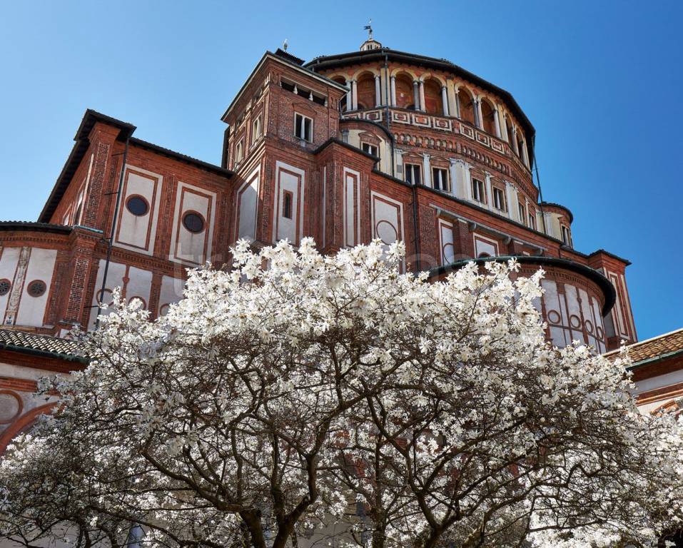 immagine annuncio 4 di 7