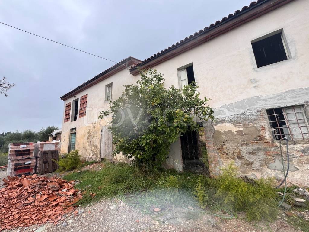 immagine annuncio 7 di 8